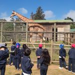 ¡Una experiencia inolvidable en el Zoológico de Concepción!